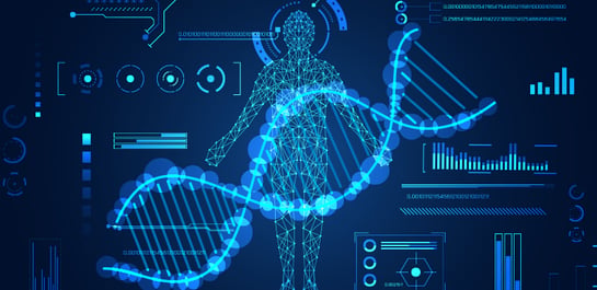 A Human in the Loop AI Solution for Augmented Decision-Making